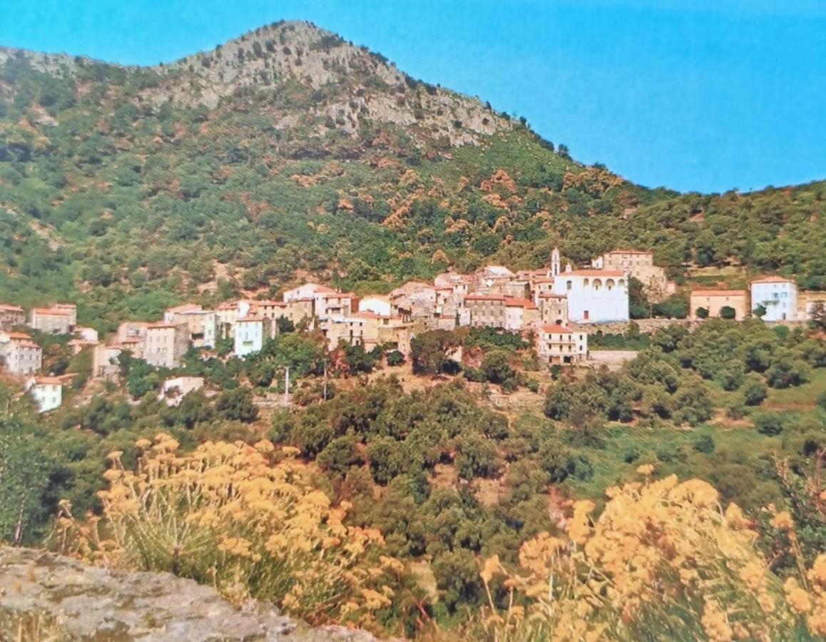 A Stalla Maison De Vacances 6 Personnes Muro  Dış mekan fotoğraf